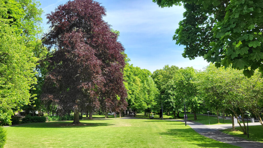 Rotenburg an der Fulda